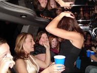 Party Limousine Service